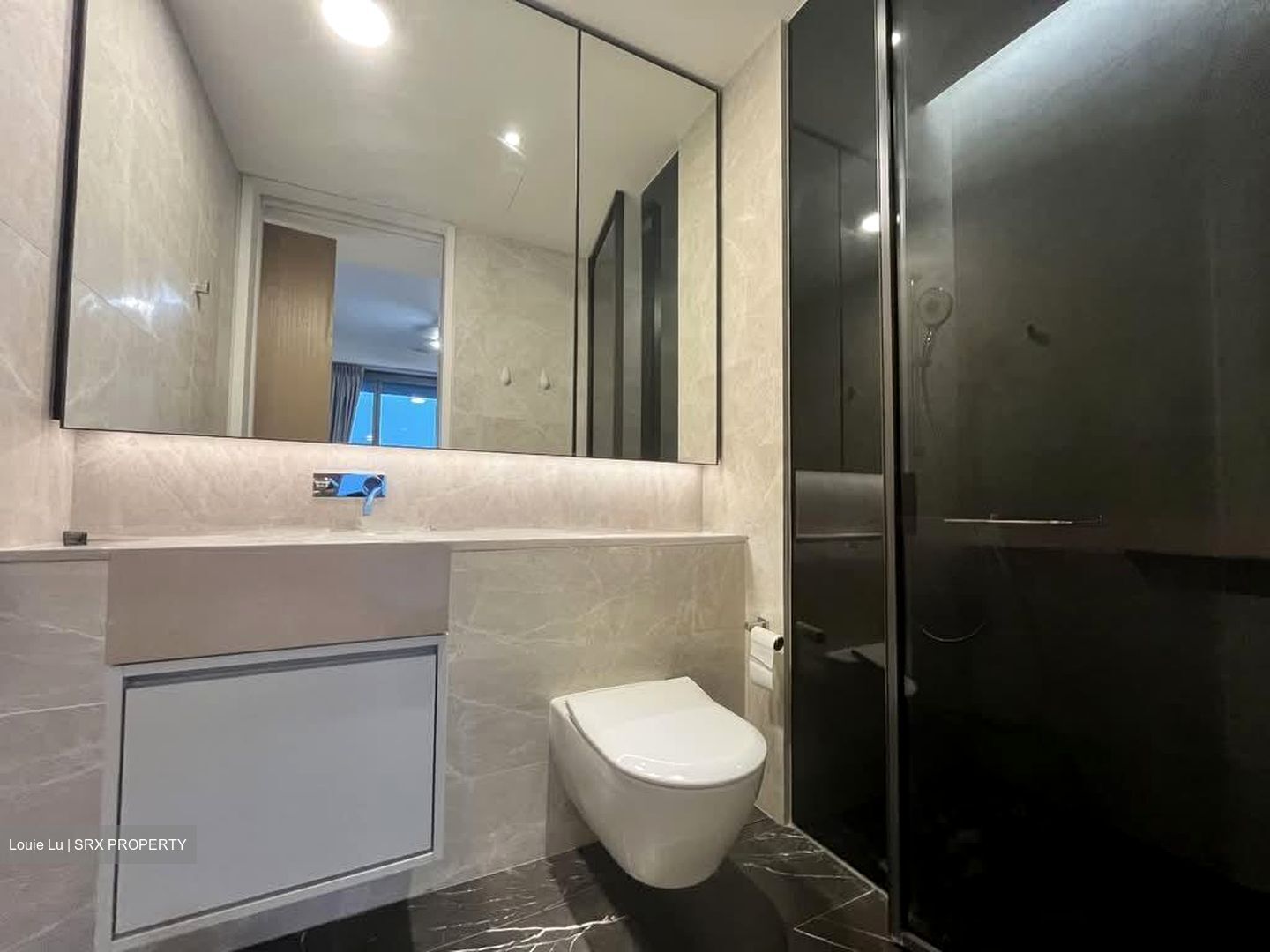 Amber Park (D15), Condominium #560571611